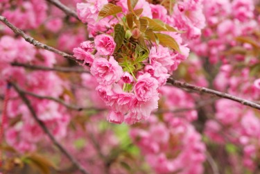 徐州贾汪区线下个人借款平台一站式服务，轻松解决资金难题