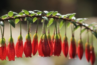 徐州贾汪区零用贷短借：轻松解决临时资金需求
