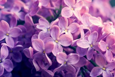 徐州贾汪区企业急用钱贷款攻略：快速融资解燃眉之急